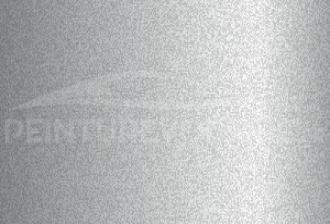 Code peinture Chatenet NF 21112 Silver