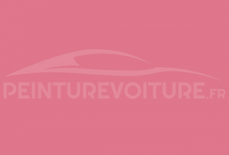Code peinture Ral Design System 010 60 45 Strawberry