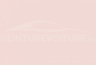 Code peinture Ral Design System 010 90 10 Hellapricot