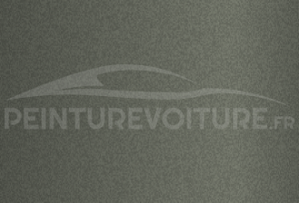 Code peinture Dacia 01007 Grey Green