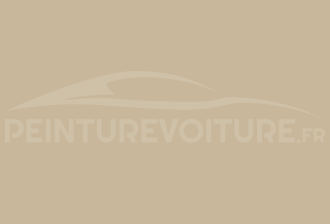 Code peinture Evo 01015 Hellelfenbein