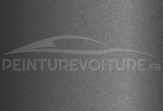 Code peinture Dacia 01017 Dark Grey