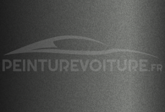 Code peinture Dacia 01023 Gris Graphite