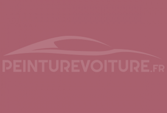 Code peinture Ral Design System 010 50 30 -