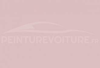 Code peinture Ral Design System 010 80 10 Rosa