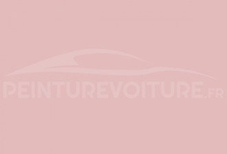 Code peinture Ral Design System 010 80 15 Pink