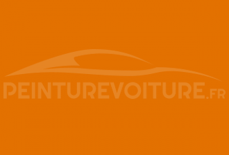 Code peinture Renault 01305 Orange
