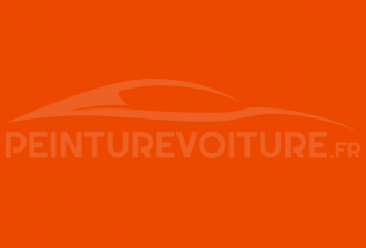 Code peinture Renault 01308 Orange