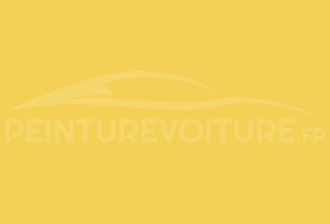 Code peinture Renault 01313 Jaune