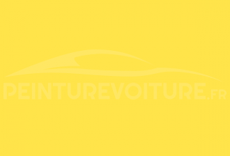 Code peinture Renault 01319 Jaune Zinc