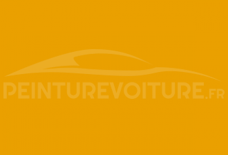 Code peinture Renault 01324 Jaune