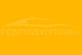 Code peinture Renault 01339 Jaune