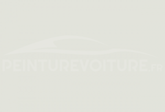 Code peinture Renault 01349 Blanc