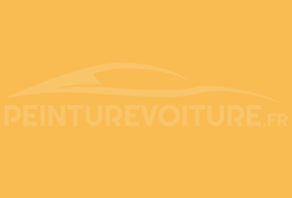 Code peinture Nissan 016 Sunshine Yellow