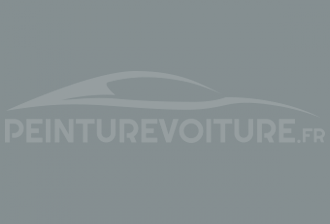 Code peinture Renault 01614 Gris Ex Danois