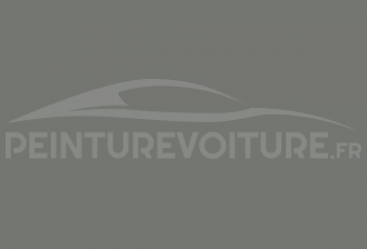 Code peinture Renault 01617 Gris
