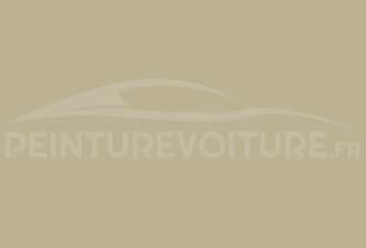 Code peinture Renault 01620 Gris