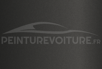 Code peinture Renault 01625 Gris