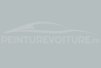 Code peinture Renault 01636 Gris