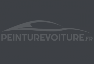 Code peinture Renault 01640 Gris