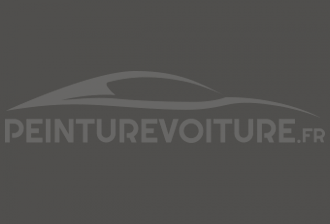 Code peinture Renault 01644 Gris Satine