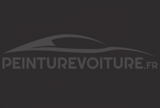 Code peinture Renault 01677 Gris Axial