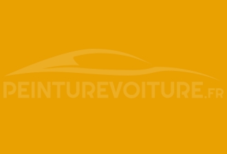 Code peinture Peugeot 017 Jaune