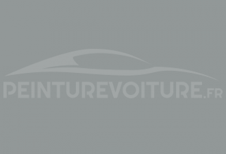 Code peinture Lamborghini 0179 Grigio Hati