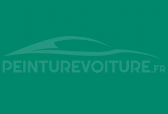 Code peinture Renault 01910 Vert