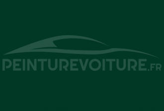 Code peinture Renault 01917 Vert