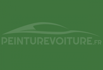 Code peinture Renault 01938 Vert Rfa