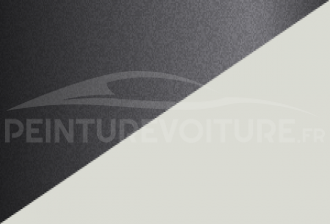 Code peinture Fiat 020 213/a + 868/b