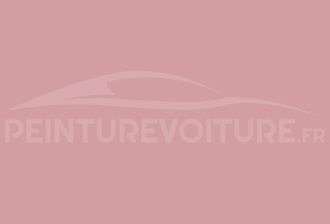 Code peinture Ral Design System 020 70 20 Rose
