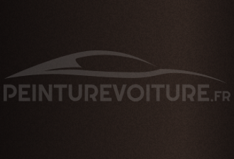 Code peinture Renault 02124 Marron
