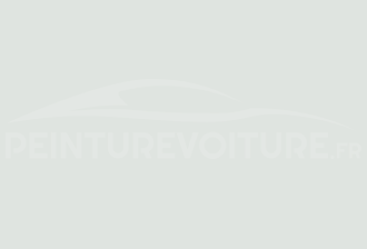 Code peinture Ford 023 Branco Artico / Oxford
