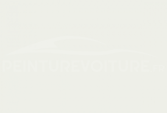 Code peinture Renault 02338 Blanc