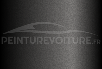 Code peinture Nissan 027 Dark Grey