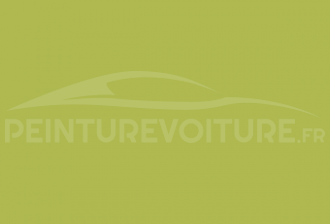 Code peinture Fiat 029 Verde La Redoute