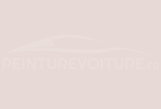 Code peinture Ral Design System 030 90 05 Antique White