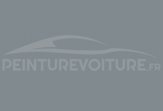 Code peinture Renault 03604 Gris