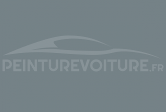 Code peinture Renault 03623 Gris