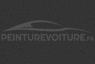 Code peinture Renault 03650 Gris Chassis Mat