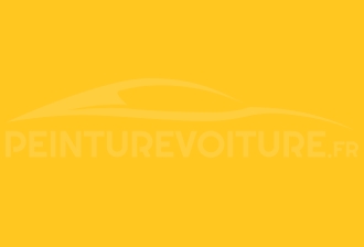 Code peinture Subaru 040 140 Electric Yellow