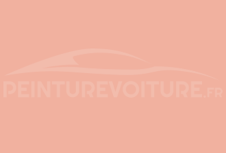 Code peinture Ral Design System 040 80 30 Nature Apricot