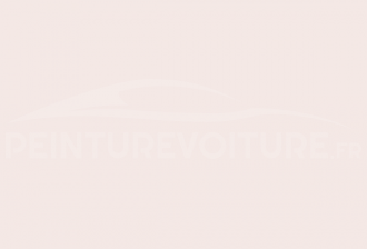 Code peinture Ral Design System 040 93 05 Naturweib
