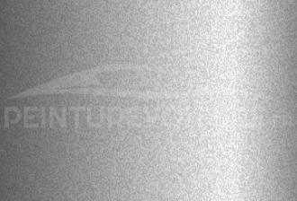Code peinture Tata Motors 040 Silver Grey