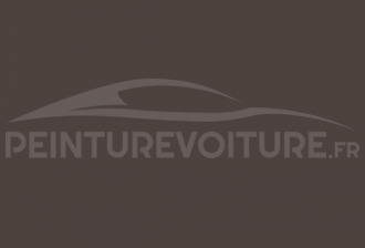 Code peinture Ral Design System 040 30 05 Brown