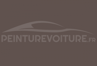Code peinture Ral Design System 040 40 05 Brown Earth