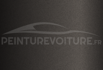 Code peinture Tata Motors 041 Anthracite