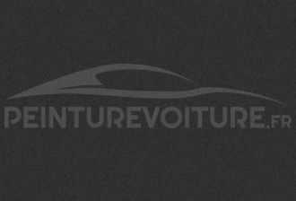 Code peinture Tata Motors 043 Mercury Grey